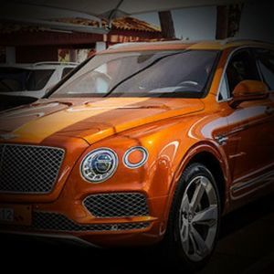 Meet your Posher, Willie